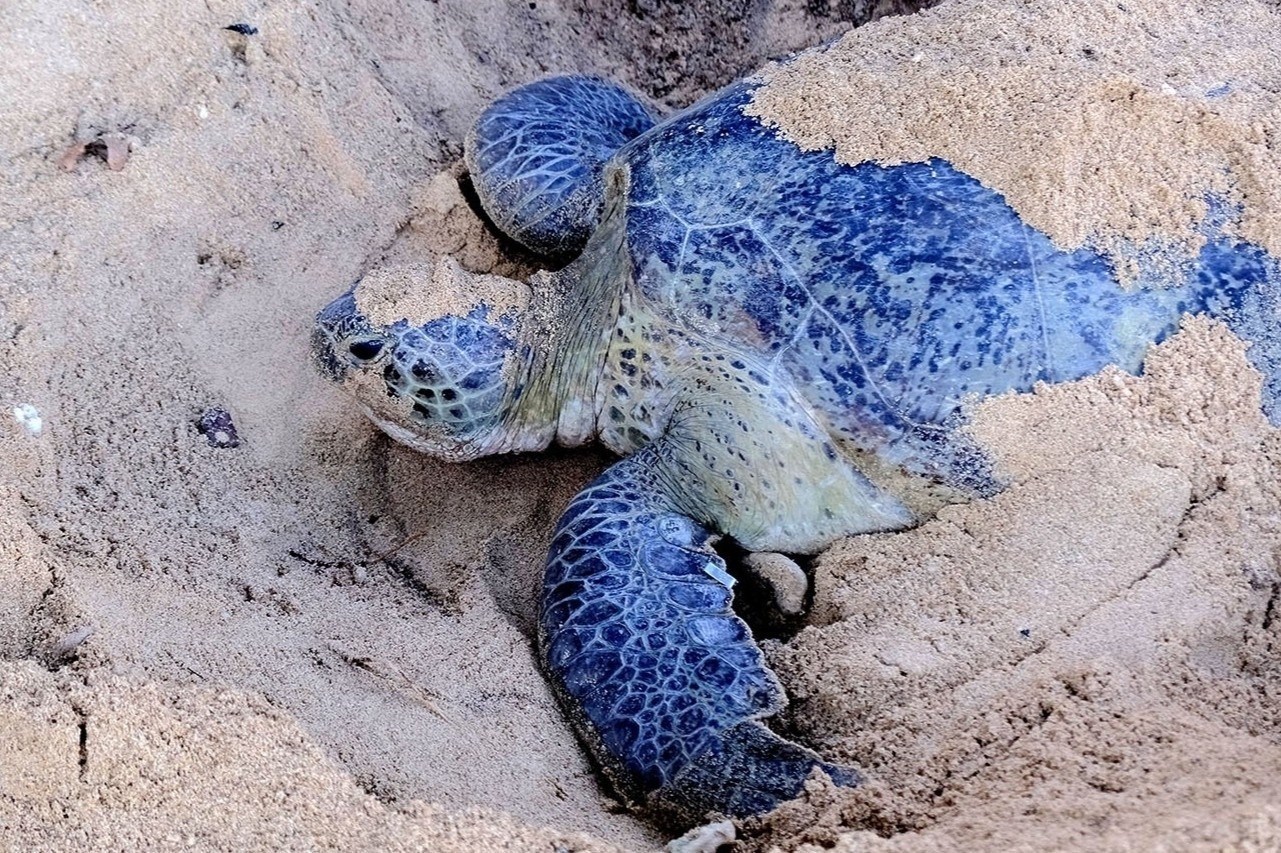 Thiên đường biển, đảo cho dịp 30/4-1/5 - 16