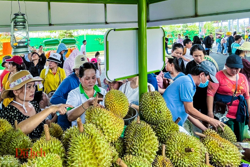Lễ hội trái cây lớn nhất nước, có nhiều loại cao cấp, quý hiếm - 15