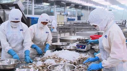 Xuất khẩu thủy sản sang EU khả quan nhưng giảm mạnh tại thị trường Trung Quốc