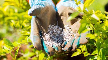 Thuế xuất khẩu phân bón NPK về 0%, giảm thuế nhập khẩu xăng sinh học từ giữa tháng 7/2023