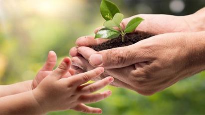 Chuỗi cung ứng bền vững thúc đẩy phát triển kinh tế xanh